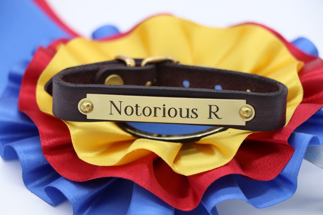 Remarkable Leather Goods Toddler Sized Pony Bracelet - Remarkable Leather Goods - Equiluxe Tack