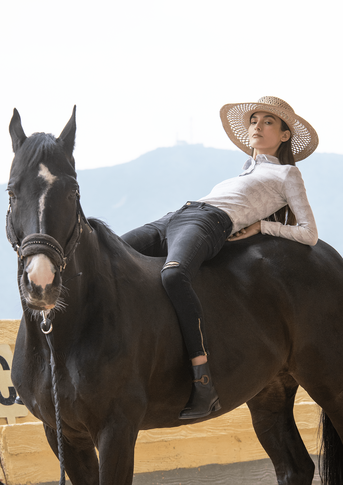 Ronner Plume Quarter - Zip | Long Sleeve | Steed Print | Nude - Rönner - Equiluxe Tack