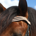 Rose Quartz Browband - Equestroom - Equiluxe Tack