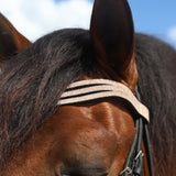 Rose Quartz Browband - Equestroom - Equiluxe Tack