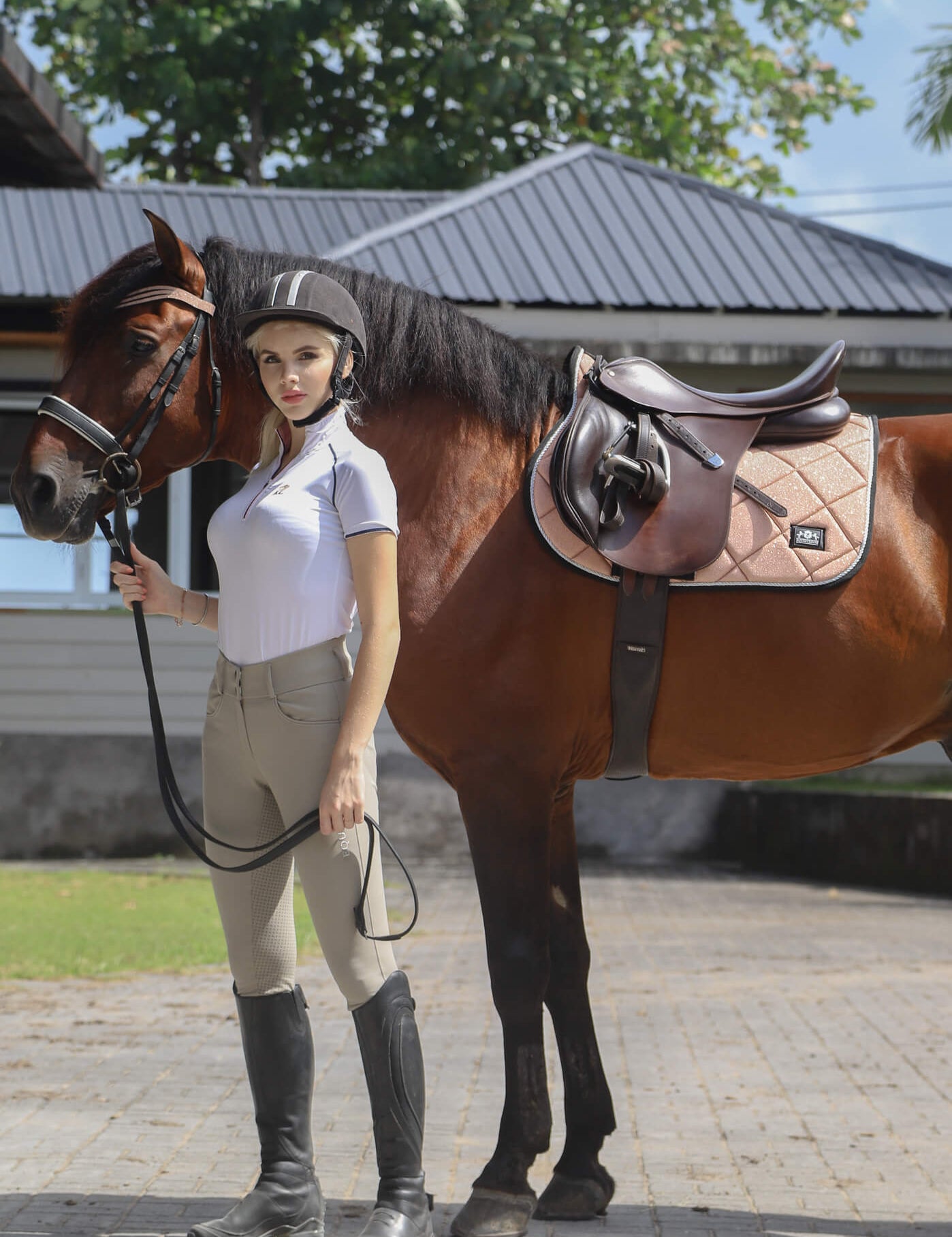 Rose Quartz Browband - Equestroom - Equiluxe Tack