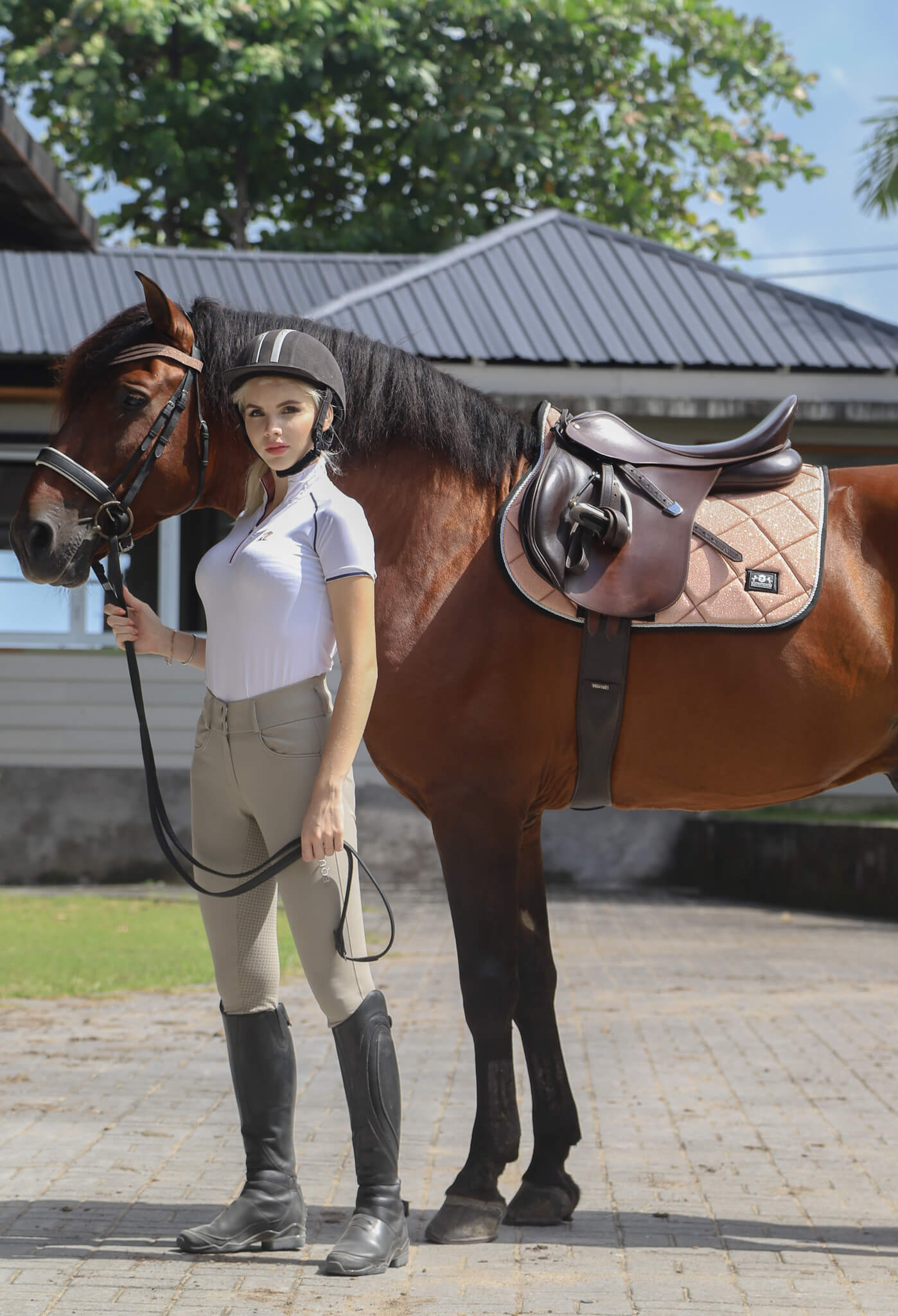 Rose Quartz Browband - Equestroom - Equiluxe Tack