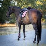 Rose Quartz Saddle Pad - Equestroom - Equiluxe Tack