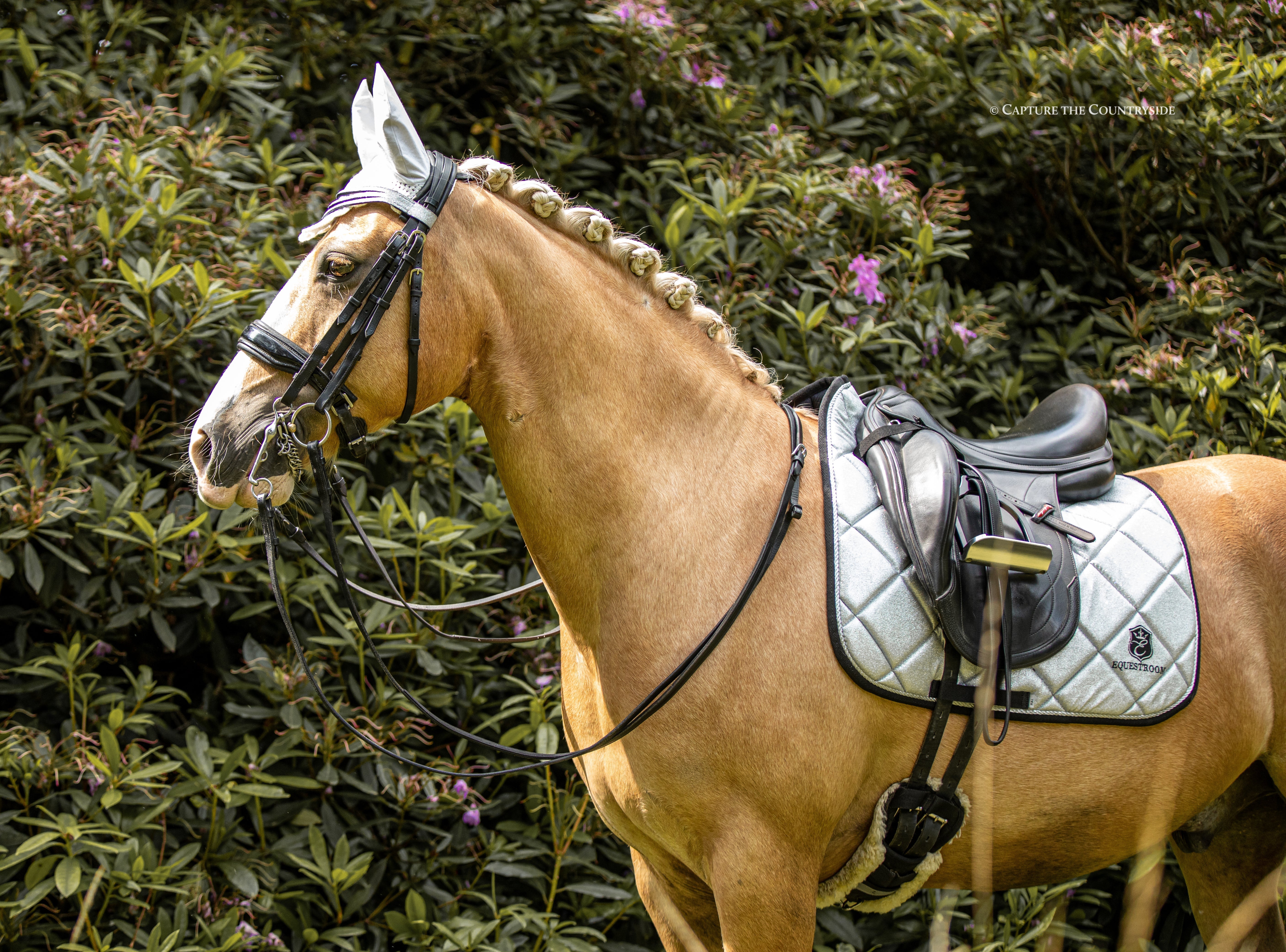 Royal Silver Fly Hat - Equestroom - Equiluxe Tack