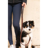 Pénélope Rubber Dog Leash - Havana