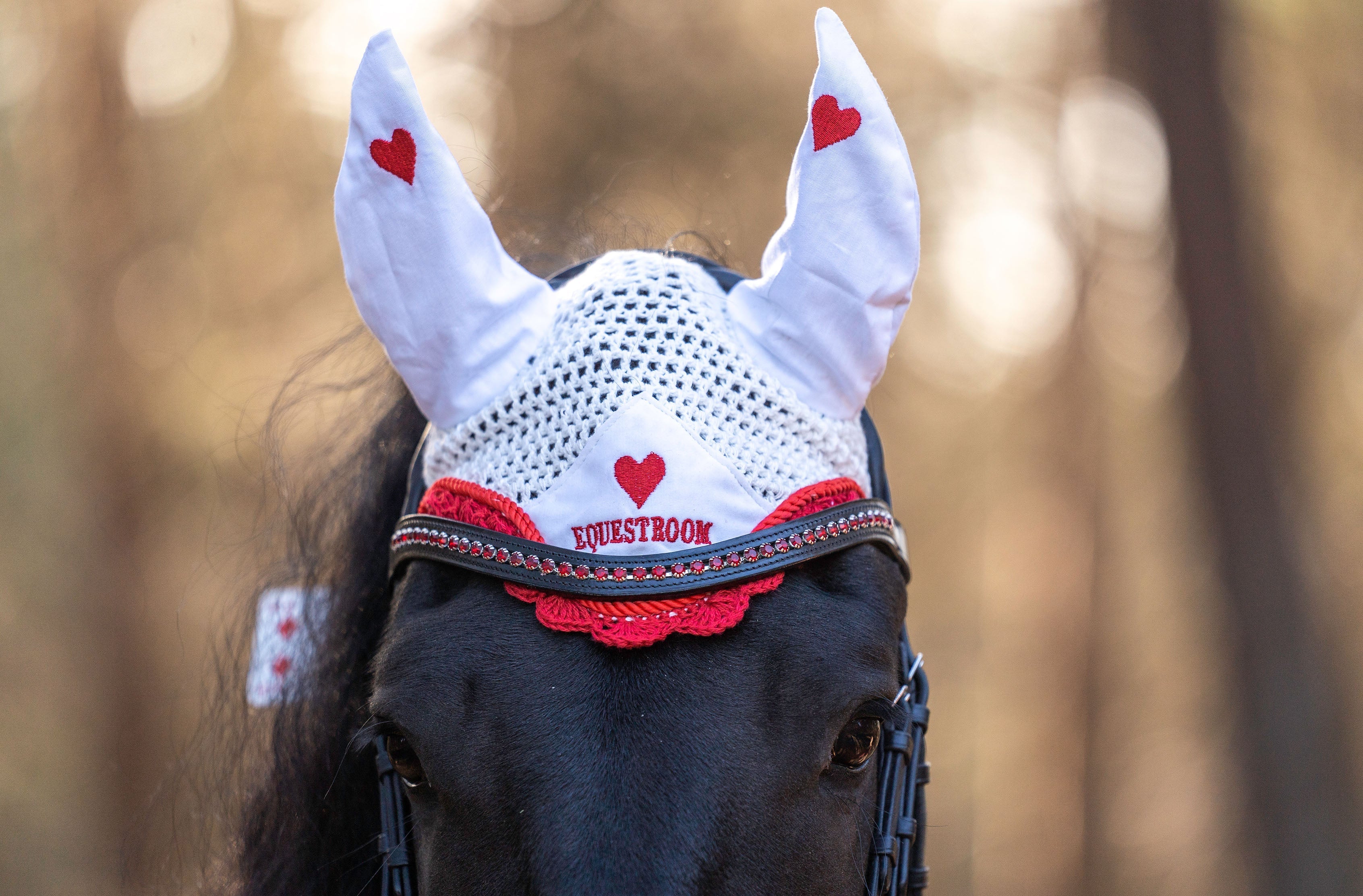 Ruby Red Crystal Browband - Equestroom - Equiluxe Tack