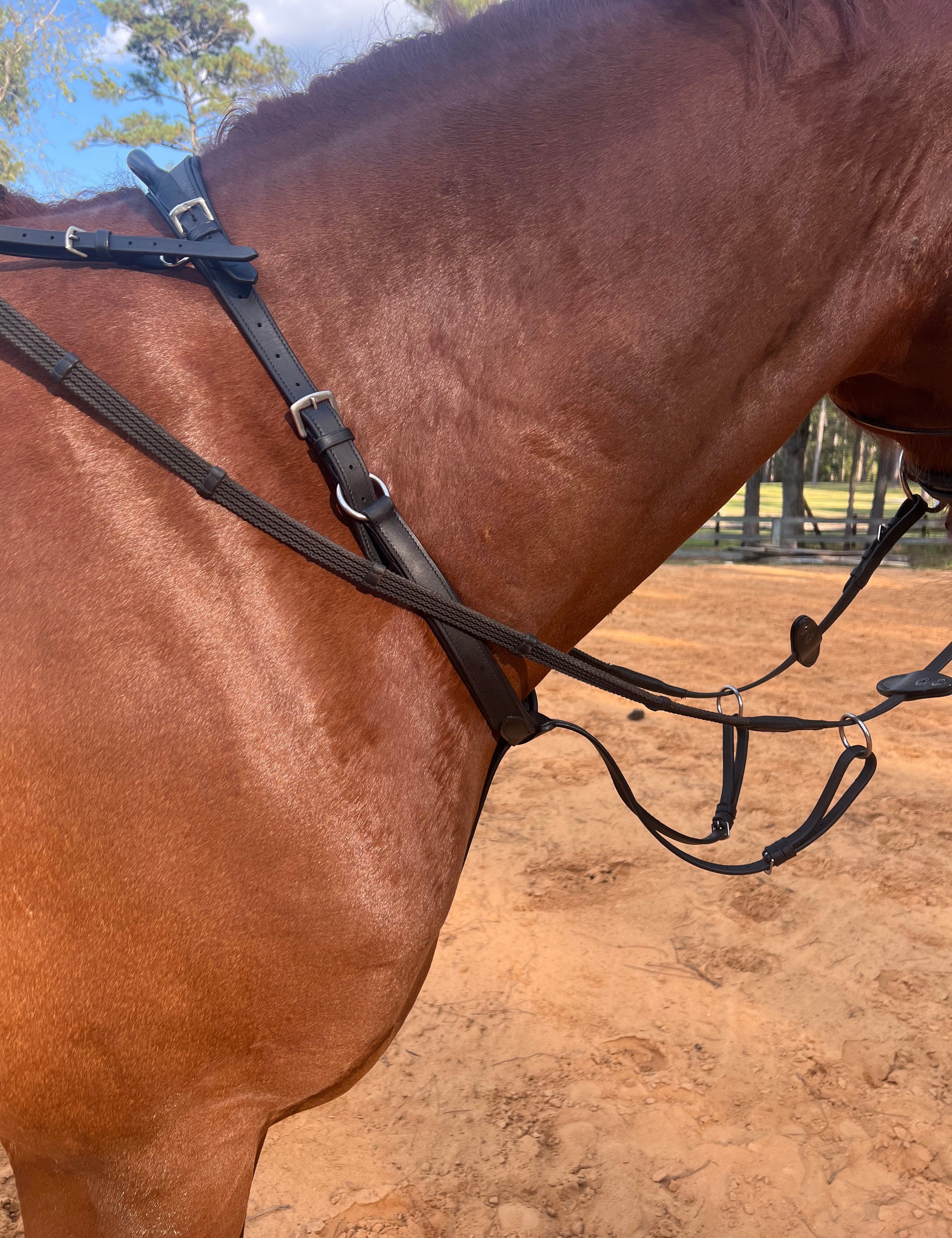 Running Martingale Add - On for Double Neck Strap - CorrectConnect - Equiluxe Tack