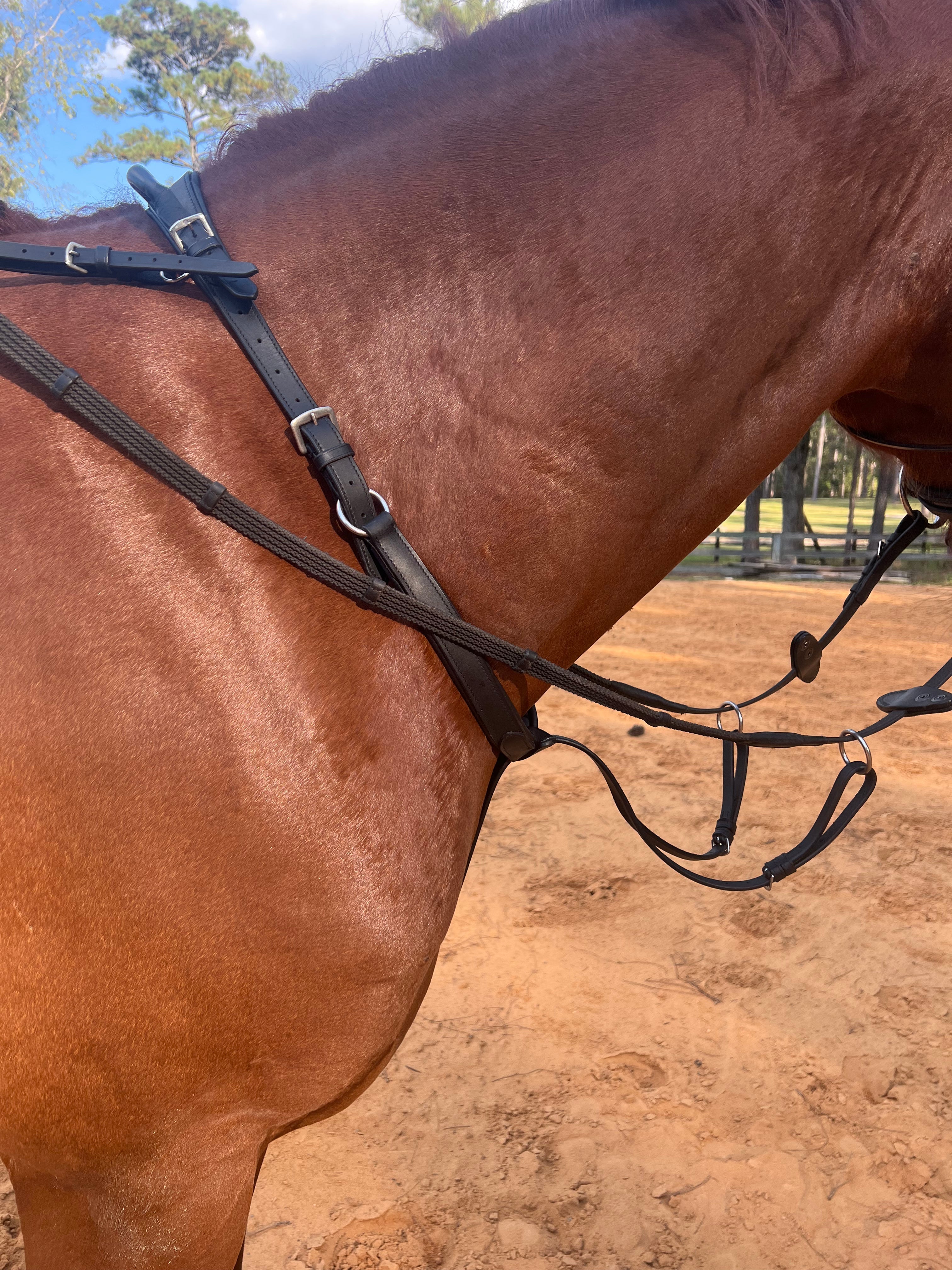 Running Martingale Add - On for Double Neck Strap - CorrectConnect - Equiluxe Tack