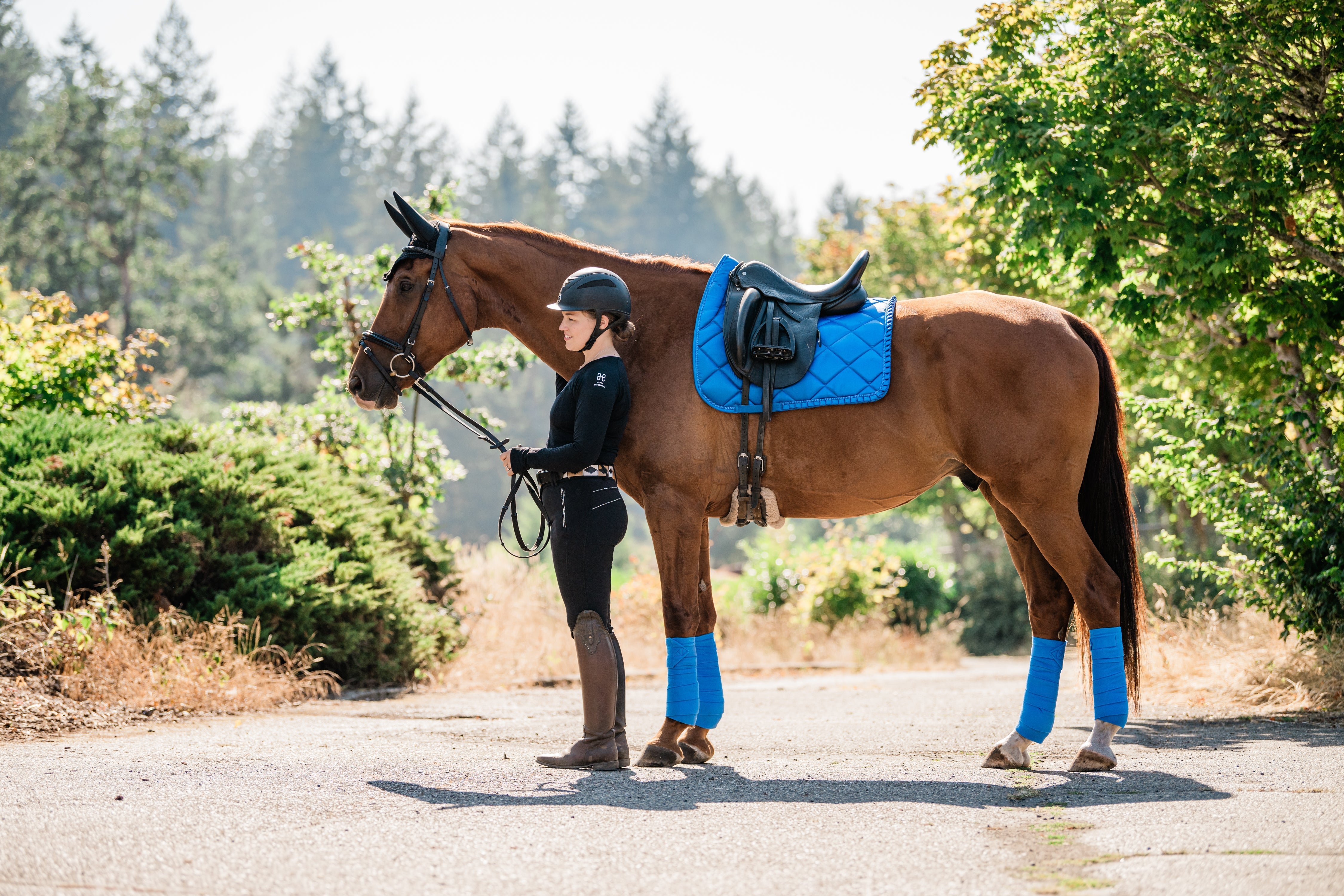 Saddle Pads - Dressage - Auven Equestrian - Equiluxe Tack