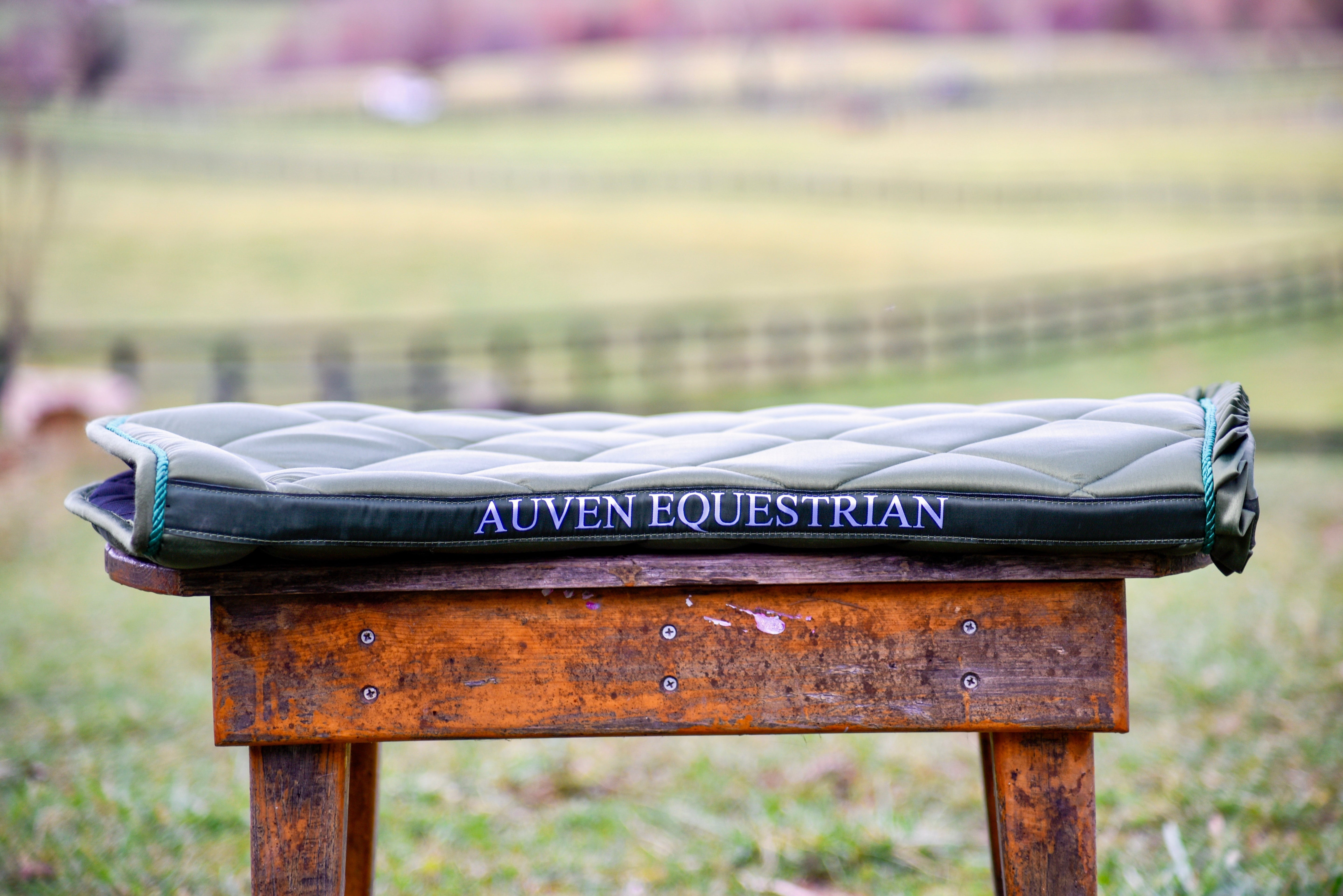 Saddle Pads - Jumping - Auven Equestrian - Equiluxe Tack