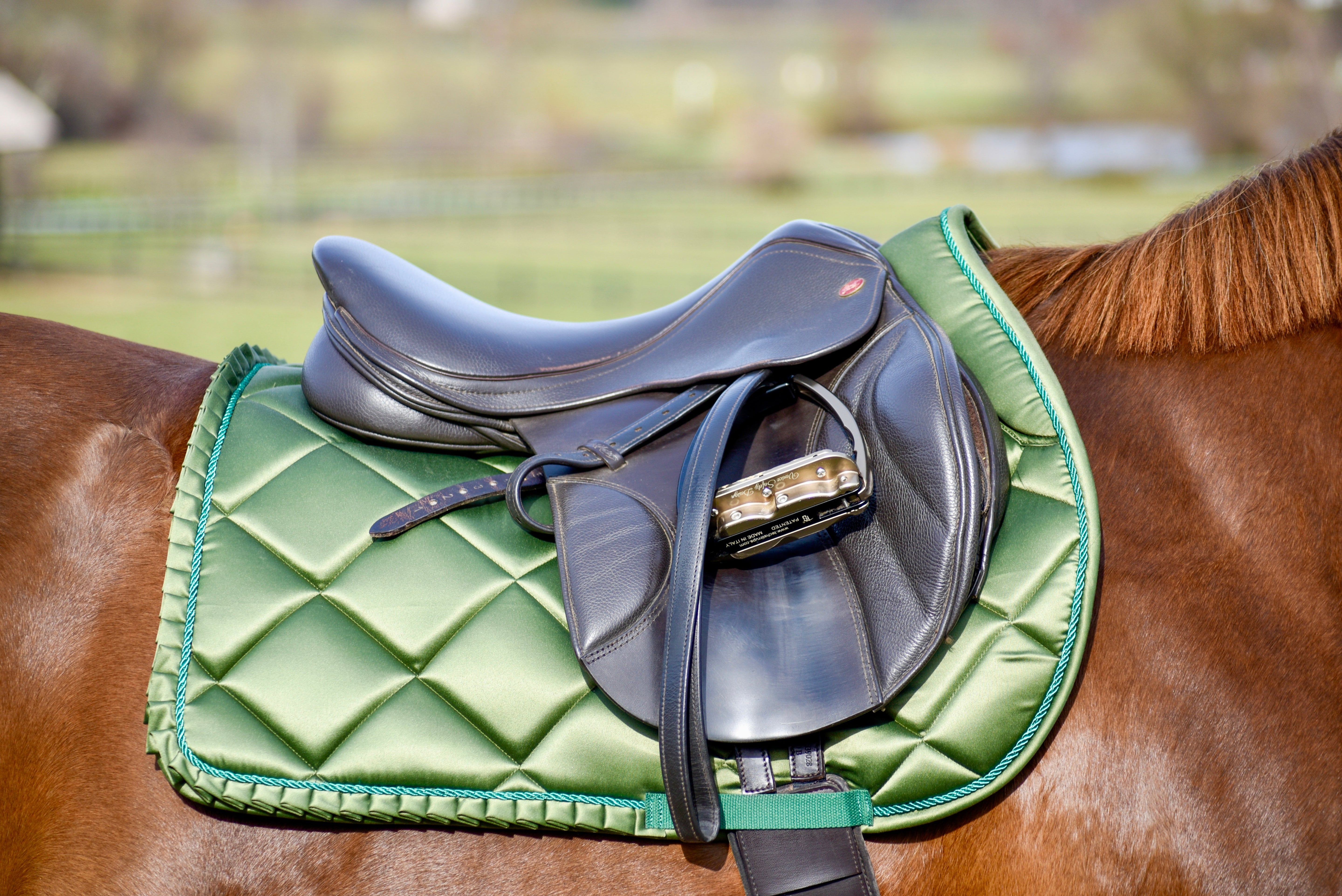 Saddle Pads - Jumping - Auven Equestrian - Equiluxe Tack