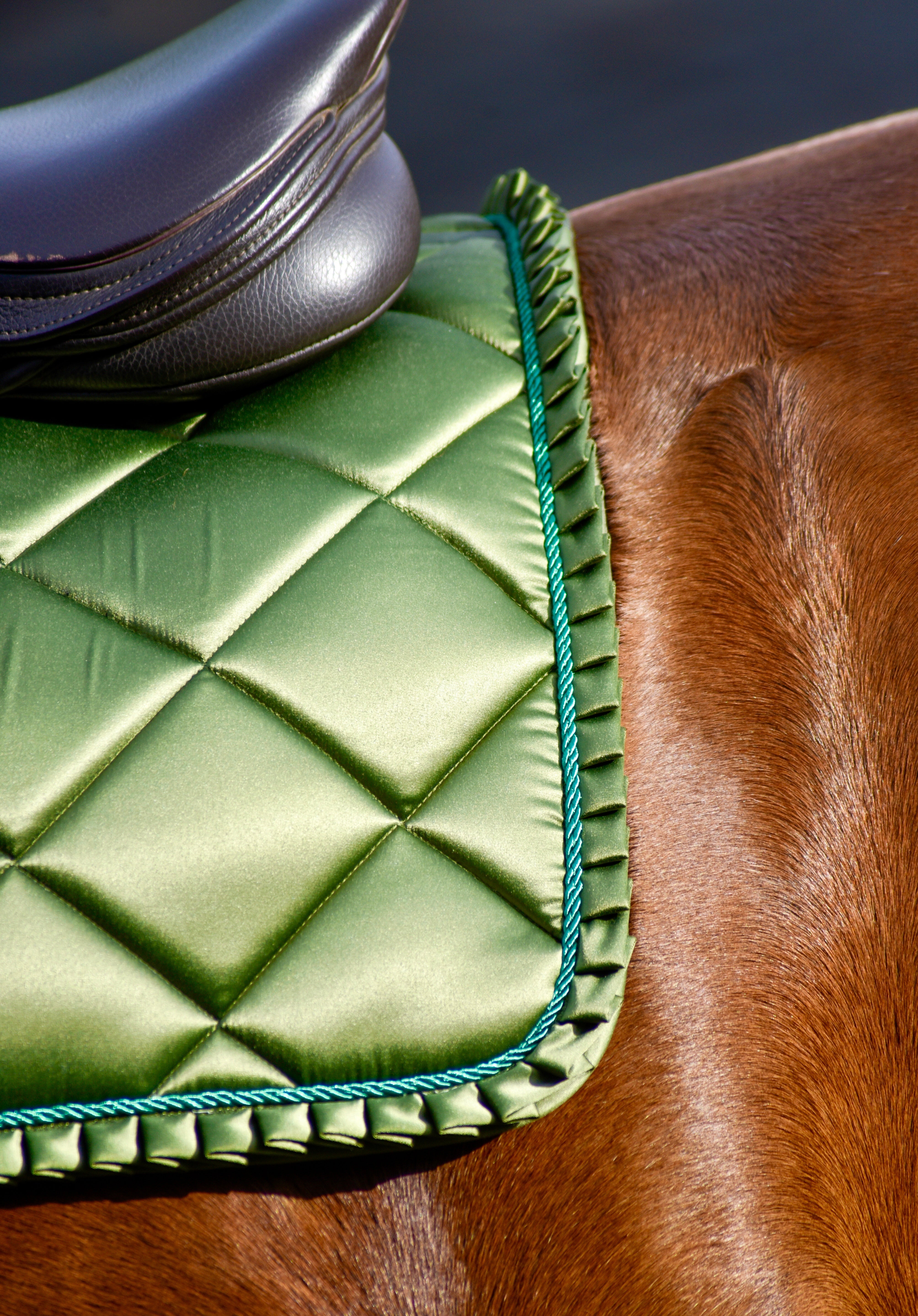 Saddle Pads - Jumping - Auven Equestrian - Equiluxe Tack