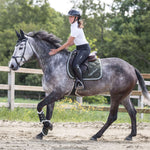 Sage Green Suede Brushing Boots - Equestroom - Equiluxe Tack