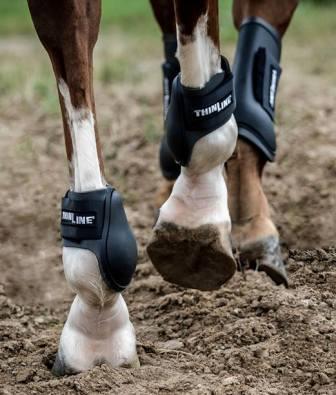 Schooling Open Front &amp; Ankle Horse Boots - Equiluxe Tack - Equiluxe Tack