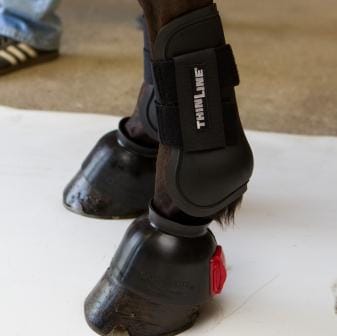 Schooling Open Front &amp; Ankle Horse Boots - Equiluxe Tack - Equiluxe Tack