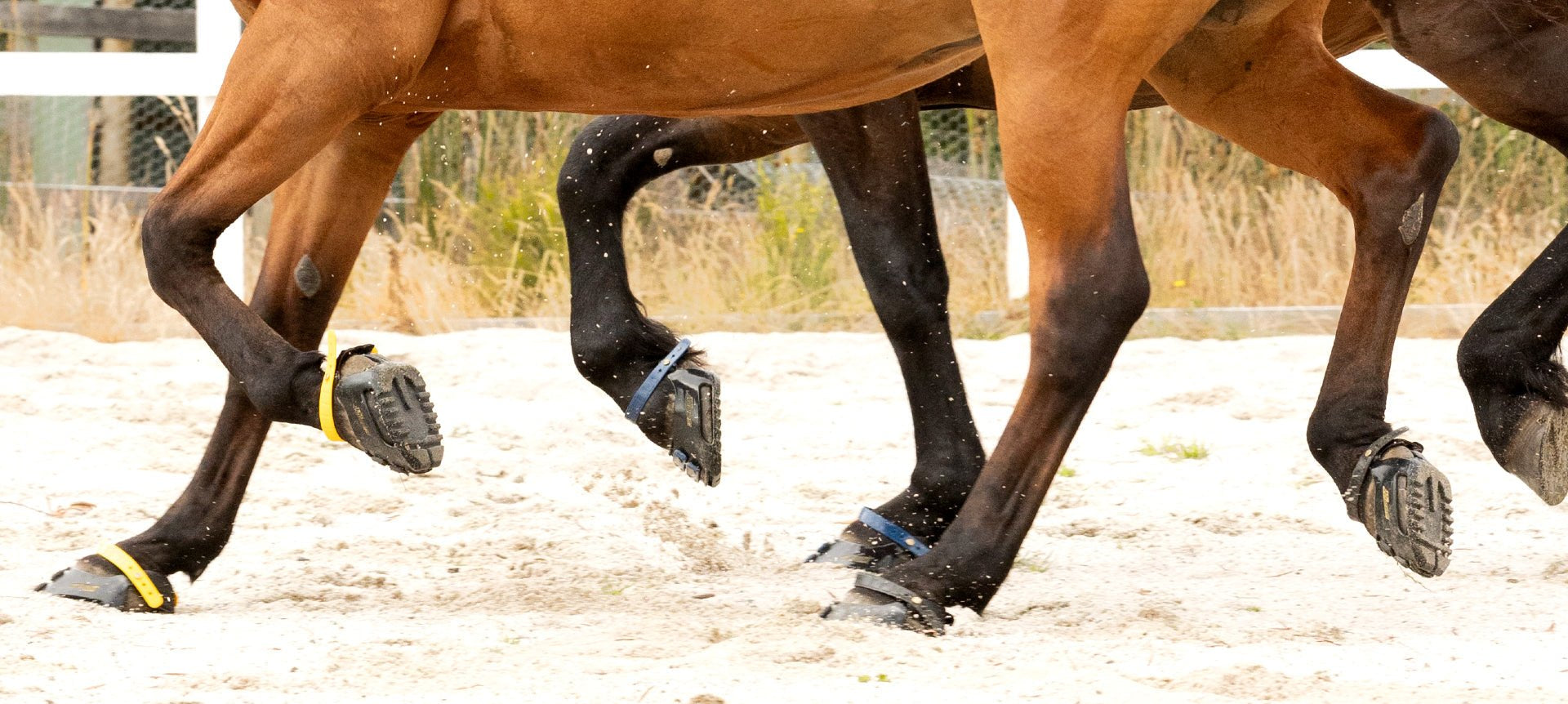 Scoot Boot Hoof Boots - Black - Equiluxe Tack - Equiluxe Tack