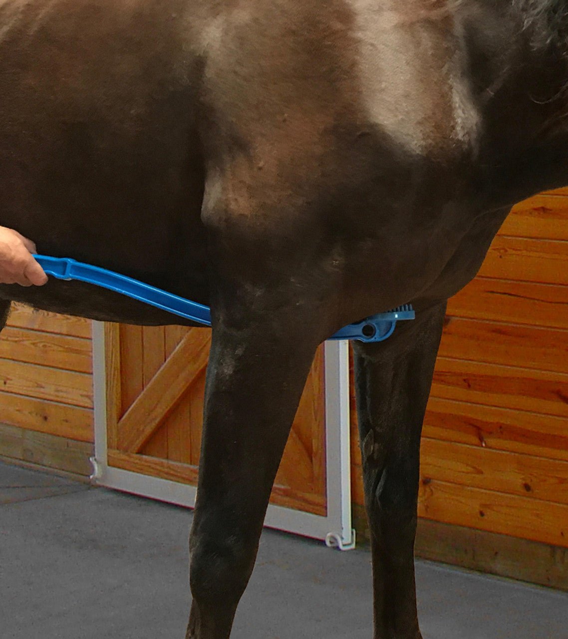 Scratch Me Silly - Equiluxe Tack
