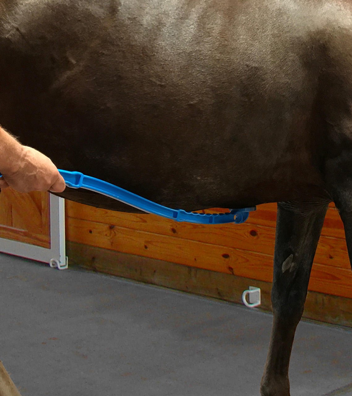 Scratch Me Silly - Equiluxe Tack