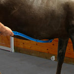 Scratch Me Silly - Equiluxe Tack