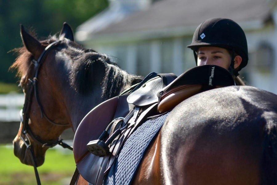 Seat Saver for English Riders - Equiluxe Tack - Equiluxe Tack