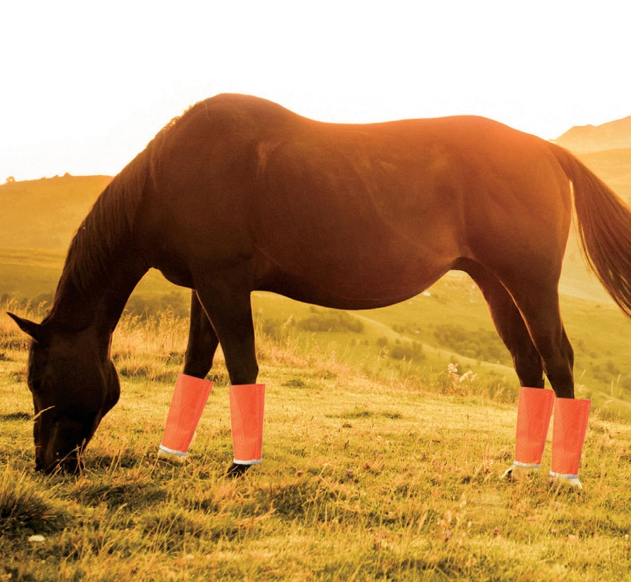 Shoofly Leggins Fine Mesh Fly Boots for Horses, 4 Pack - Jeffers - Equiluxe Tack