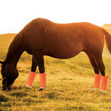 Shoofly Leggins Fine Mesh Fly Boots for Horses, 4 Pack - Jeffers - Equiluxe Tack