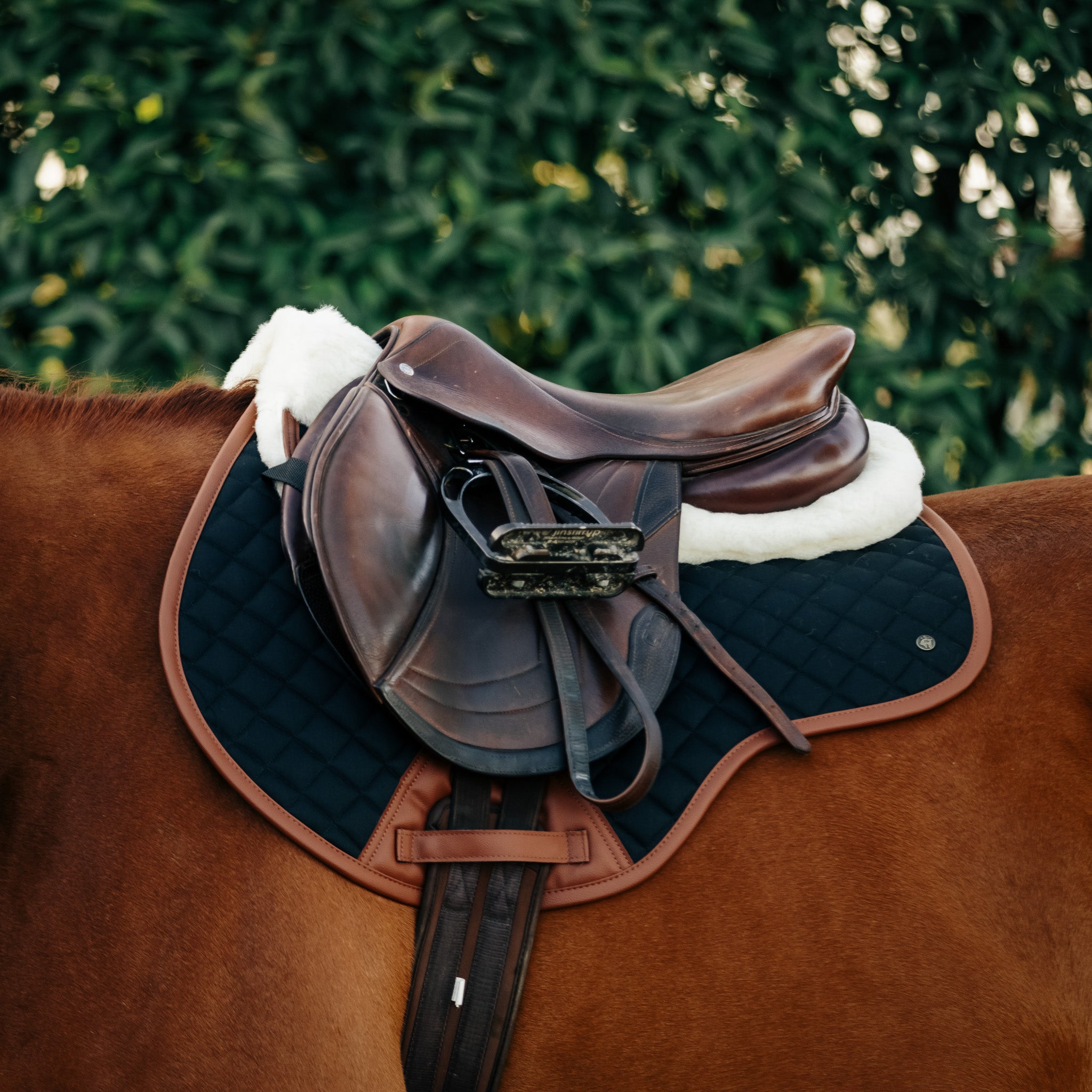 Sixteen Cypress Close Contact pad, Black & Cognac - Sixteen Cypress - Equiluxe Tack