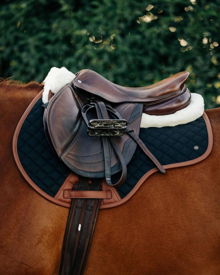 Sixteen Cypress Close Contact Pad, Black & Cognac - PREORDER - Sixteen Cypress - Equiluxe Tack