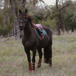 Sixteen Cypress Close Contact pad, Cypress & Cognac - Sixteen Cypress - Equiluxe Tack