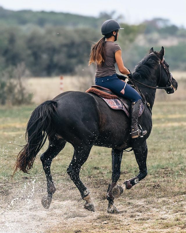 Sixteen Cypress Close Contact Pad, Field Plaid & Hickory - PREORDER - Sixteen Cypress - Equiluxe Tack