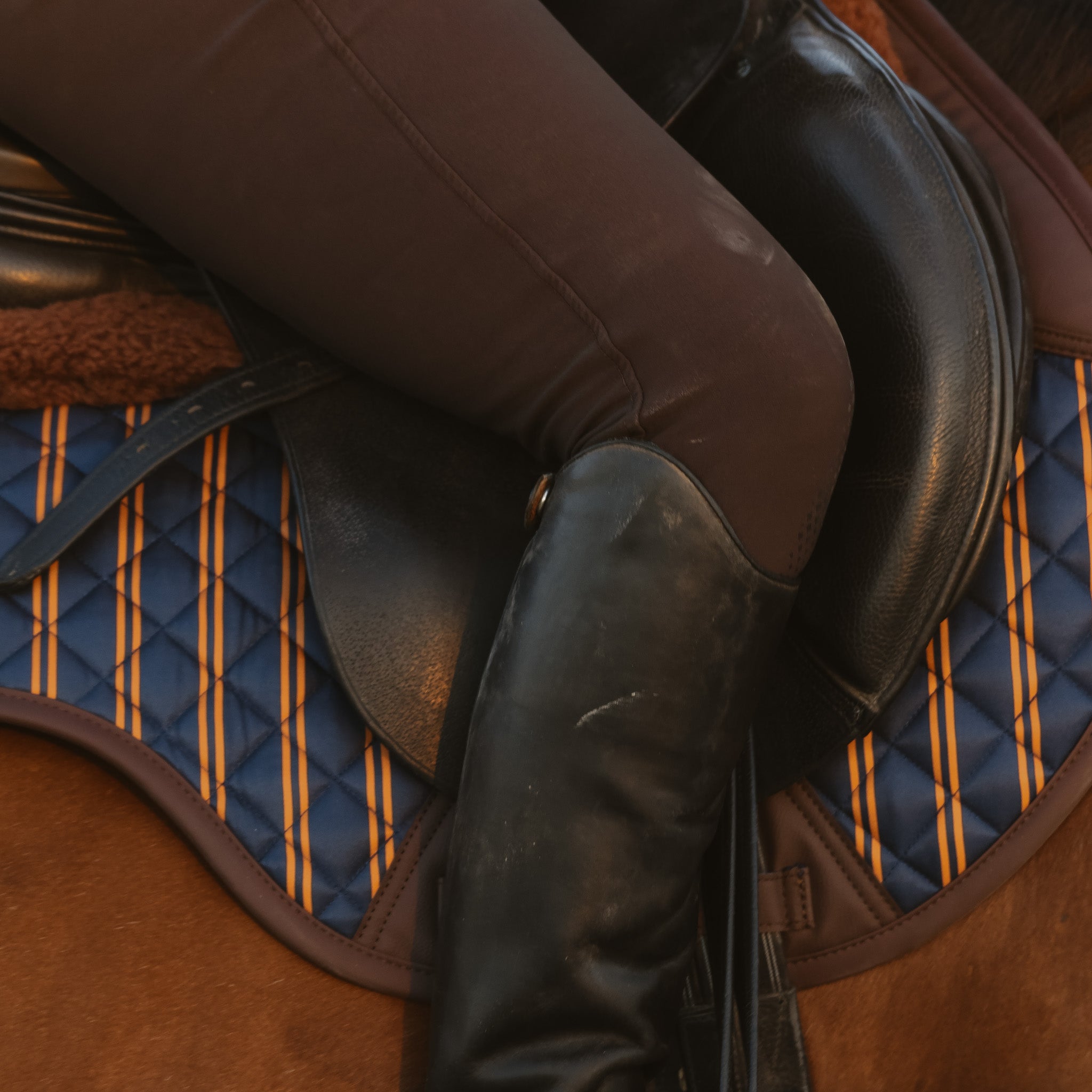 Sixteen Cypress Close Contact pad, Peninsula Stripe - Sixteen Cypress - Equiluxe Tack
