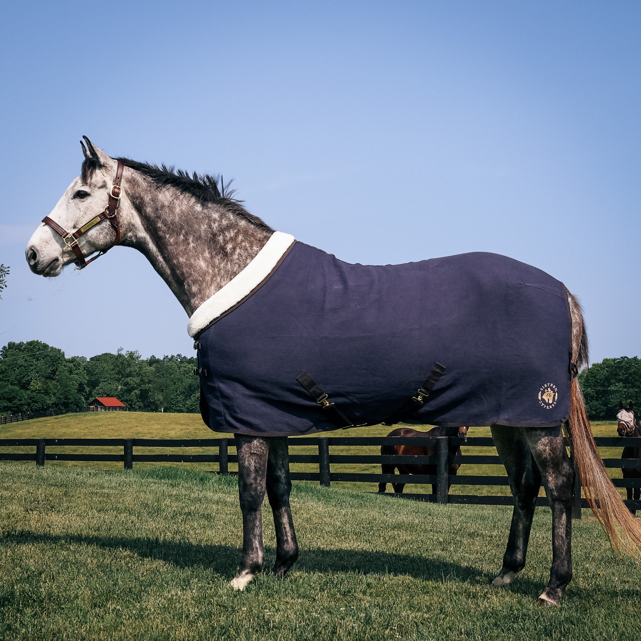 Sixteen Cypress Cotton Waffle Cooler - Navy & Hickory - Sixteen Cypress - Equiluxe Tack