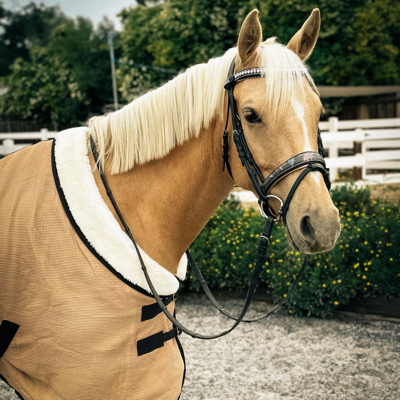 Sixteen Cypress Cotton Waffle Cooler - Sand & Hickory - Sixteen Cypress - Equiluxe Tack