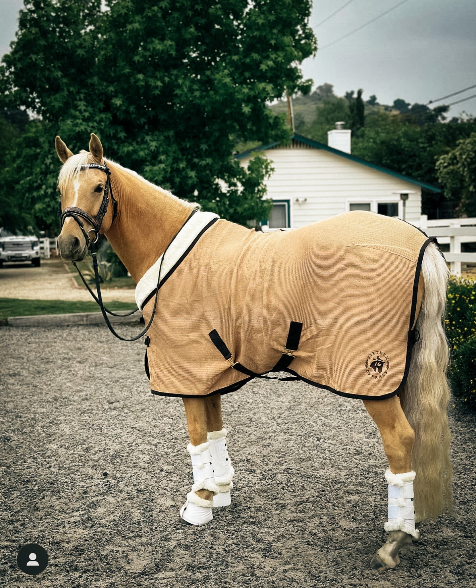 Sixteen Cypress Cotton Waffle Cooler - Sand & Hickory - Sixteen Cypress - Equiluxe Tack