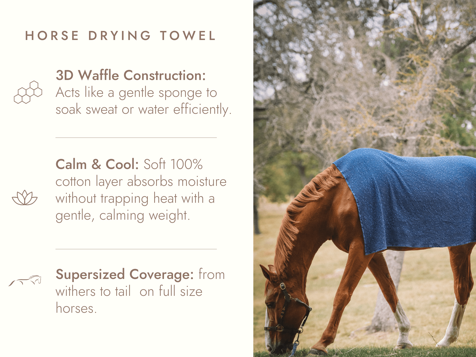 Sixteen Cypress Cotton Waffle Horse Drying Towel, Sand - Sixteen Cypress - Equiluxe Tack