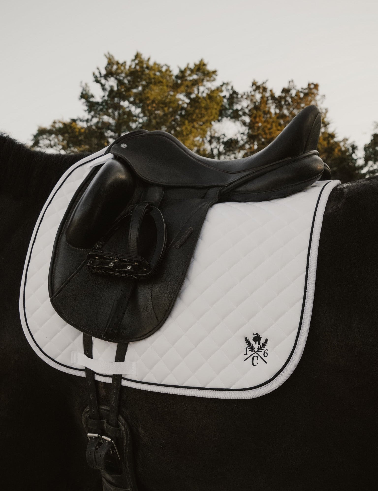 Sixteen Cypress Daily Sport Dressage Saddle Pad - Black - Sixteen Cypress - Equiluxe Tack