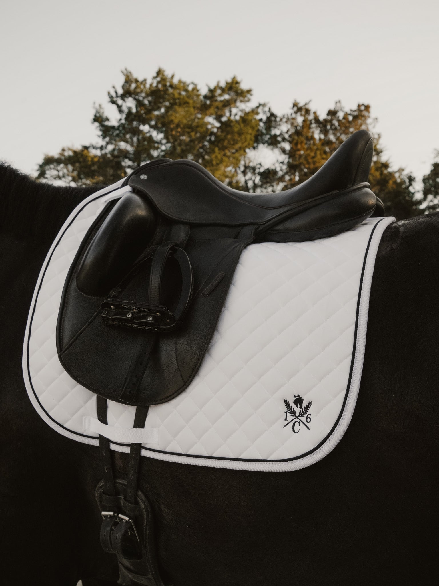Sixteen Cypress Daily Sport Dressage Saddle Pad - Black - Sixteen Cypress - Equiluxe Tack