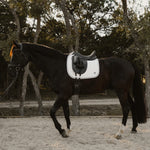 Sixteen Cypress Daily Sport Dressage Saddle Pad - Black - Sixteen Cypress - Equiluxe Tack