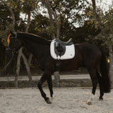 Sixteen Cypress Daily Sport Dressage Saddle Pad - Black - Sixteen Cypress - Equiluxe Tack