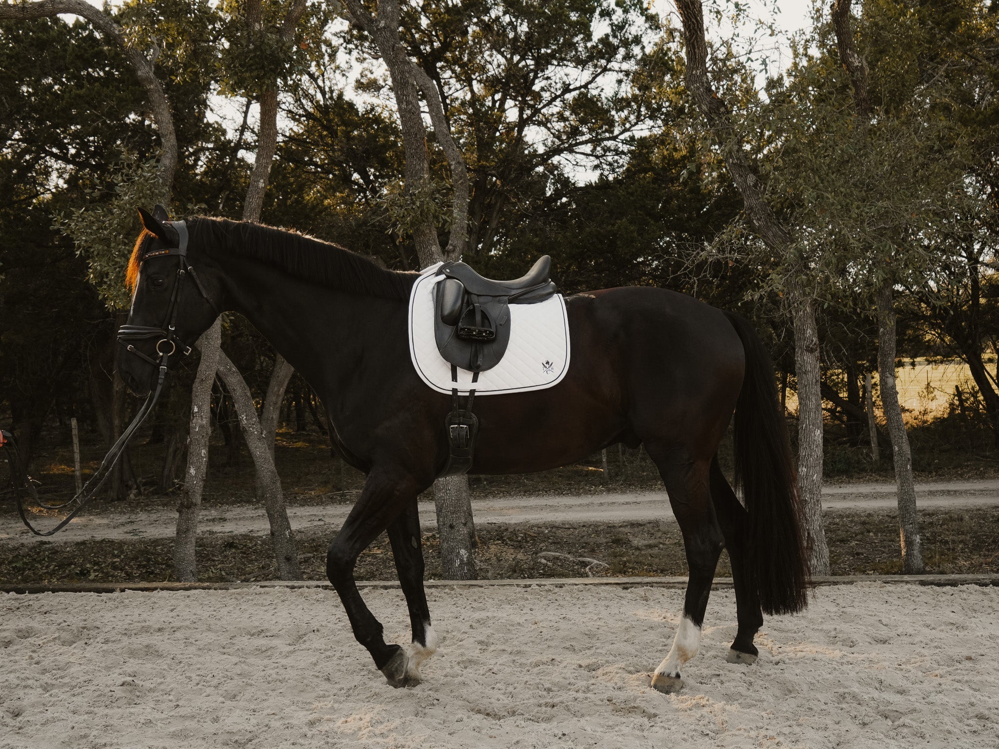 Sixteen Cypress Daily Sport Dressage Saddle Pad - White - Sixteen Cypress - Equiluxe Tack