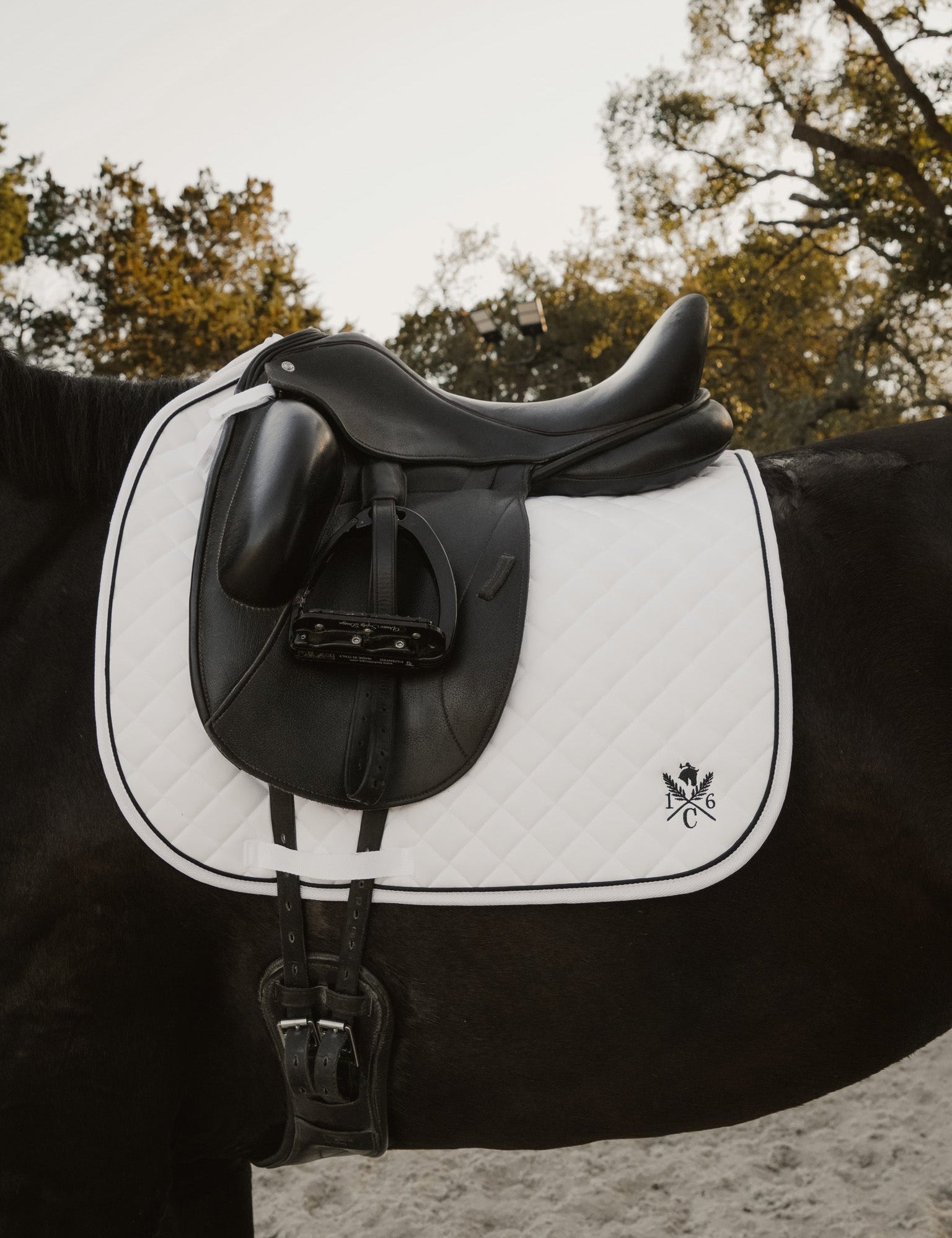 Sixteen Cypress Daily Sport Dressage Saddle Pad - White - Sixteen Cypress - Equiluxe Tack