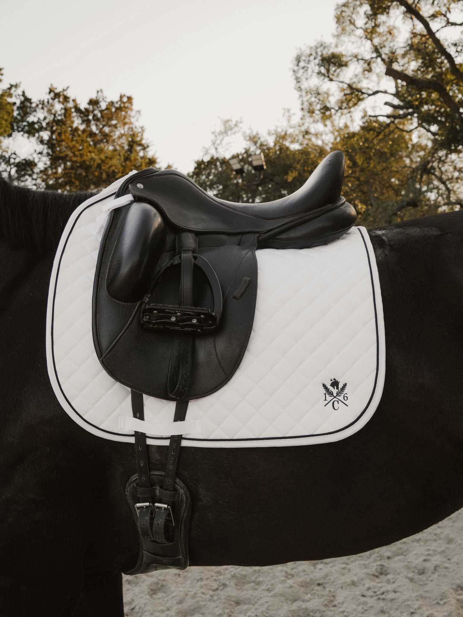 Sixteen Cypress Daily Sport Dressage Saddle Pad - White - Sixteen Cypress - Equiluxe Tack