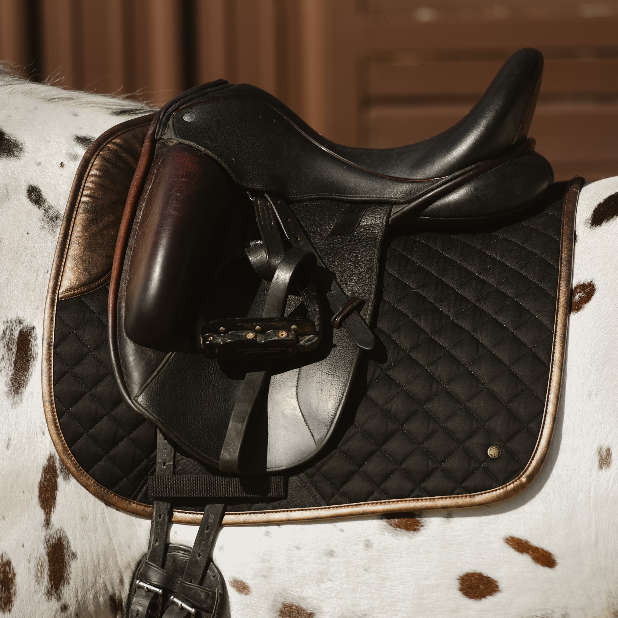 Sixteen Cypress Dressage Pad, Black & Gold Leaf - Sixteen Cypress - Equiluxe Tack