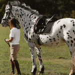 Sixteen Cypress Dressage Pad, Black & Gold Leaf - Sixteen Cypress - Equiluxe Tack