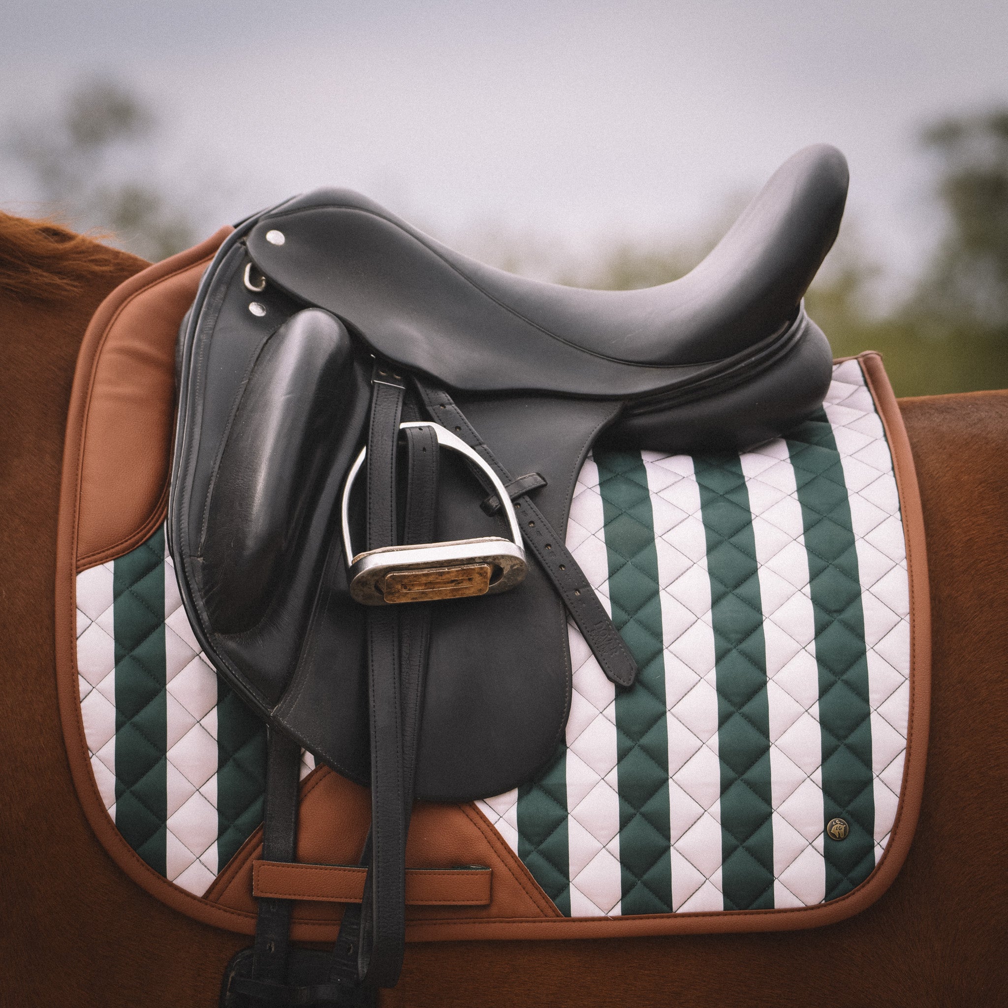Sixteen Cypress Dressage Pad, Carmel Stripe - Sixteen Cypress - Equiluxe Tack