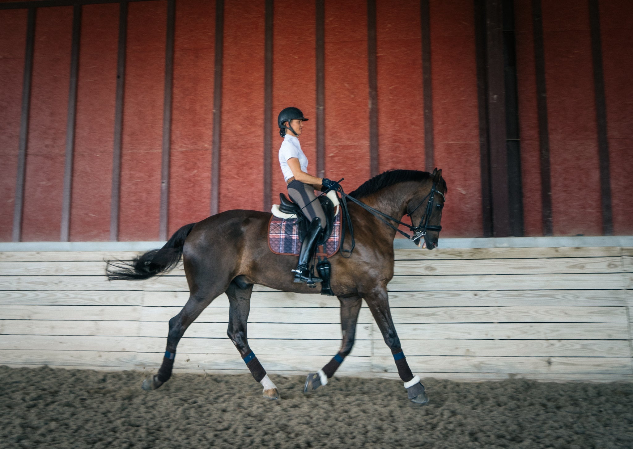 Sixteen Cypress Dressage Pad, Field Plaid & Hickory - Sixteen Cypress - Equiluxe Tack