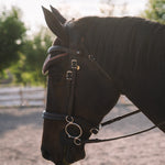 Sixteen Cypress Ear Net, Tobacco - Sixteen Cypress - Equiluxe Tack