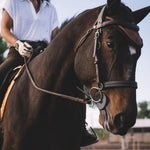 Sixteen Cypress Ear Net, Tobacco - Sixteen Cypress - Equiluxe Tack