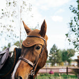 Sixteen Cypress Ear Net, Camel