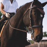 Sixteen Cypress Ear Net, Tobacco